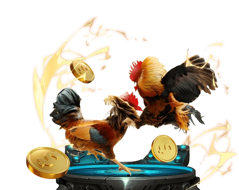 Hình ảnh minh họa các tổ chức hỗ trợ cờ bạc bên ngoài